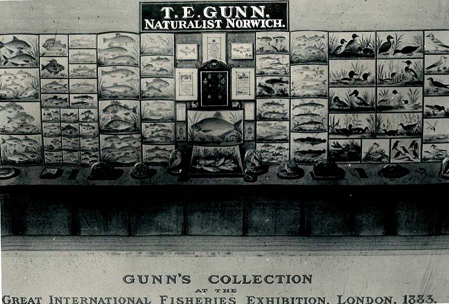 tegunn1883exhibt[1].jpg